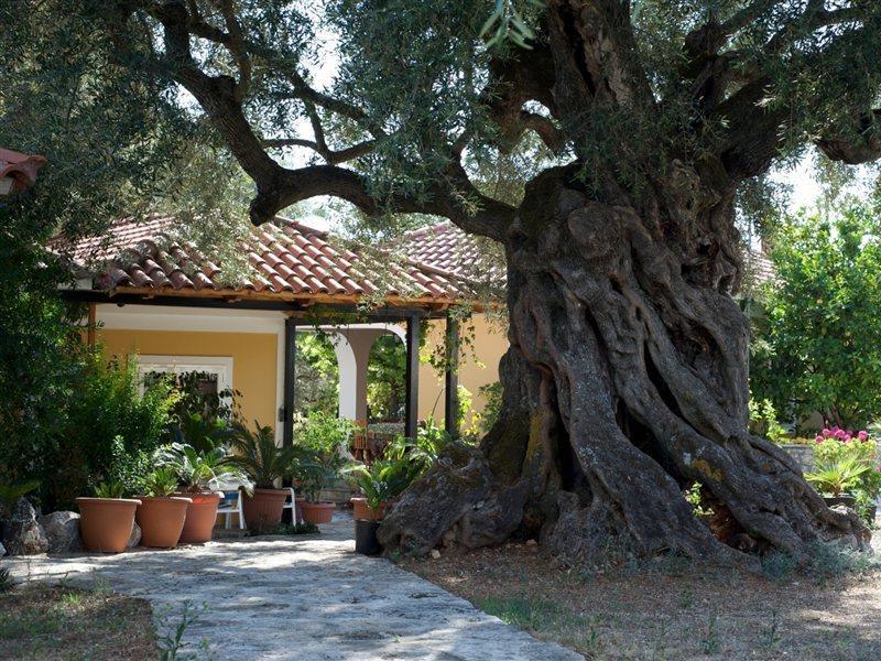 Villa Christina Zakynthos Exterior foto